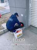 绍兴除虫灭鼠灭白蚁案例 (29)