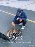 绍兴除虫灭鼠灭白蚁案例 (20)