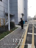绍兴除虫灭鼠灭白蚁案例 (13)