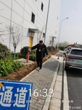 绍兴除虫灭鼠灭白蚁案例 (6)
