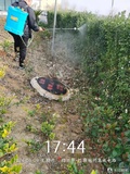 绍兴除虫灭鼠灭白蚁案例 (16)