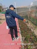 绍兴除虫灭鼠灭白蚁案例 (36)